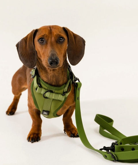 Multi-Function Adjustable Harness: Olive - Size XS + S - The Dog Mum