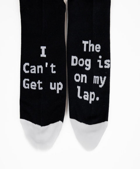 NEW Worlds best Dog Dad Socks