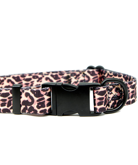 Leopard Walk Kit: Collar + Leash - The Dog Mum