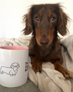 Long Haired Dachshund Mug - The Dog Mum