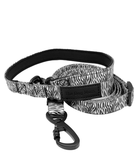 Zebra Walk Kit: Collar + Leash - The Dog Mum