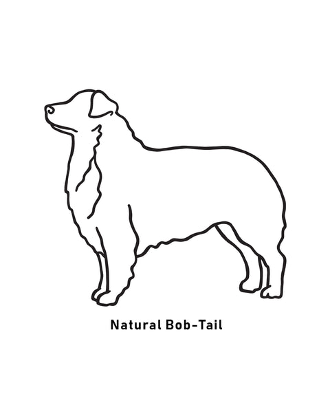 Australian Shepherd Dad Illustration: Unisex Hoodie - The Dog Mum