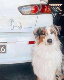 Australian Shepherd Bumper Sticker - The Dog Mum