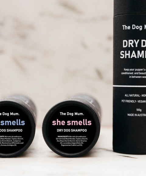 Dry Dog Shampoo: He Smells - The Dog Mum