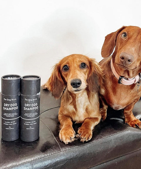 Dry Dog Shampoo: She Smells - The Dog Mum