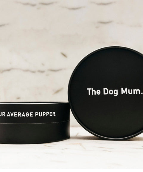 Leash in Luxe Leather: Black - The Dog Mum