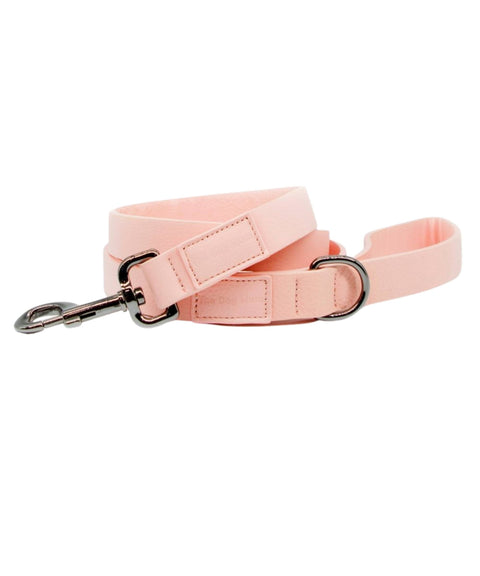 Walk Kit Luxe Leather: Collar + Leash + Bag Holder