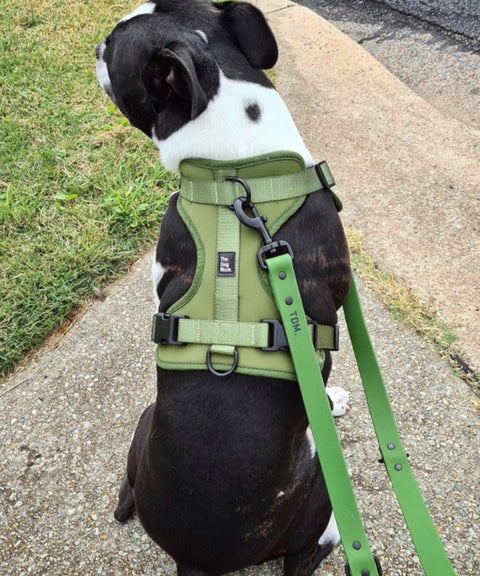 Multi-Function Adjustable Harness: Olive - Size XS + S - The Dog Mum