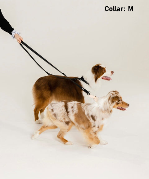 Walk Kit Black: Collar + Leash + Bag Holder - The Dog Mum