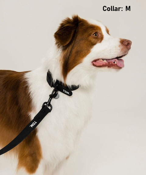 Walk Kit Black: Collar + Leash + Bag Holder - The Dog Mum