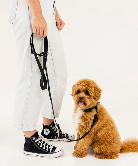 Walk Kit Black: Collar + Leash + Bag Holder - The Dog Mum