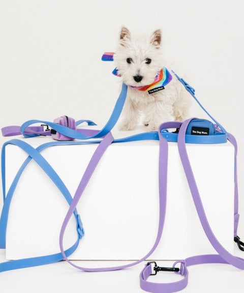 Multi-Function Waterproof Leash: Ibiza Blue - The Dog Mum
