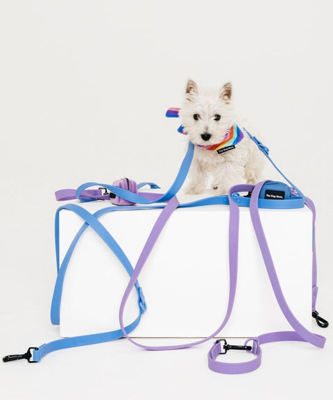 Multi-Function Waterproof Leash: Miami Lilac - The Dog Mum