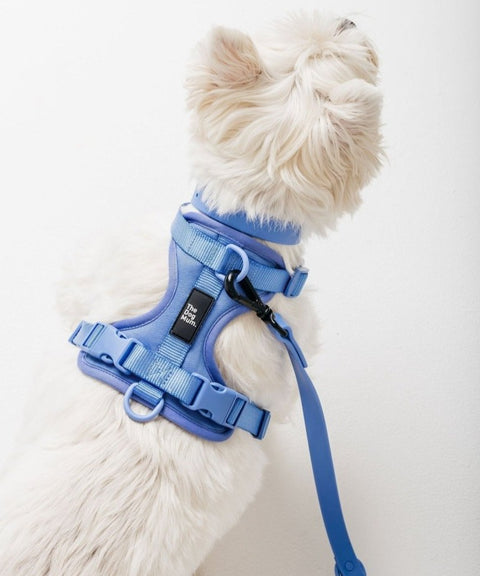 NEW Multi-Function Adjustable Harness: Ibiza Blue - The Dog Mum
