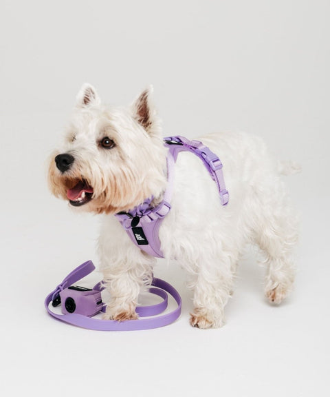 NEW Multi-Function Adjustable Harness: Miami Lilac - The Dog Mum