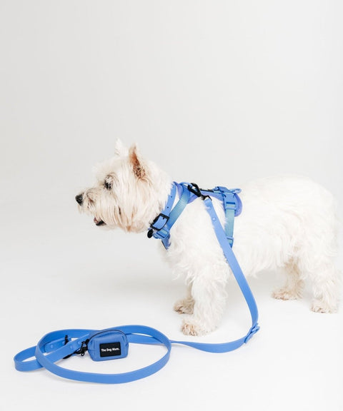 Walk Kit Ibiza Blue: Collar + Leash + Bag Holder - The Dog Mum