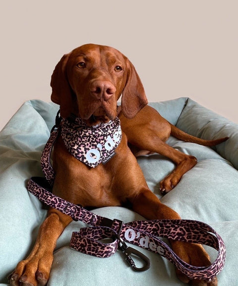 Personalised Leopard Dog Bandana - The Dog Mum