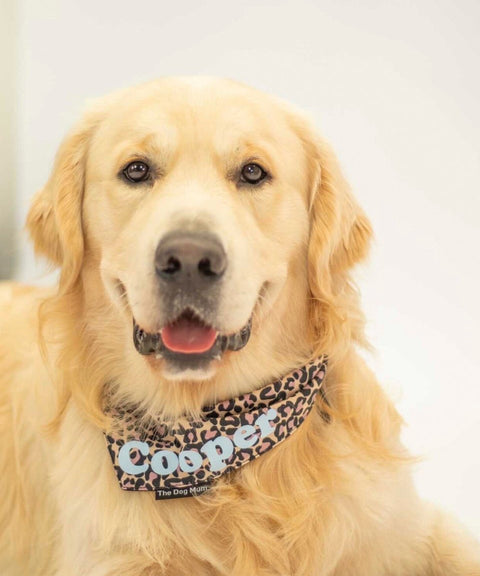 Personalised Leopard Dog Bandana - The Dog Mum