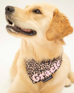 Personalised Leopard Dog Bandana - The Dog Mum