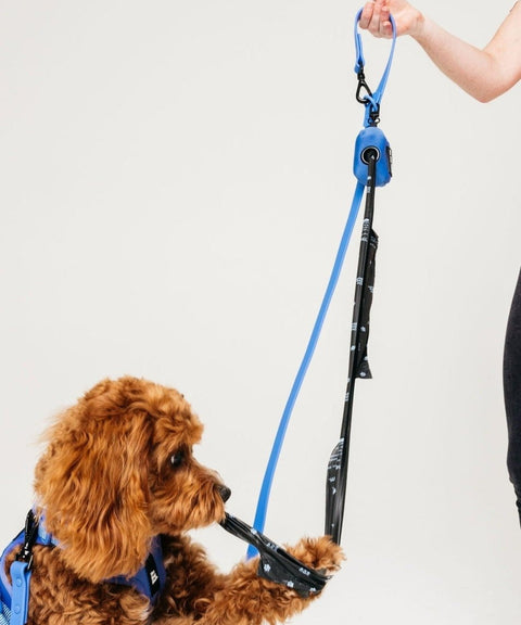 Walk Kit Ibiza Blue: Collar + Leash + Bag Holder - The Dog Mum