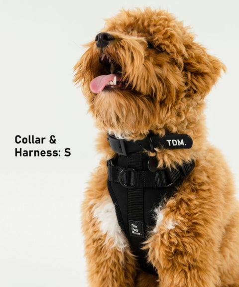 Waterproof Collar: Black - The Dog Mum