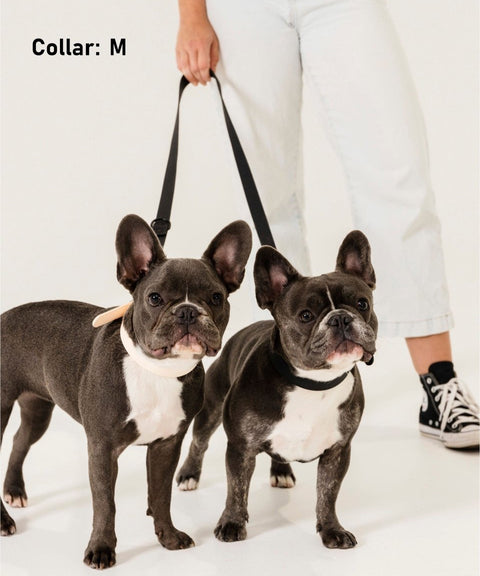 Walk Kit Black: Collar + Leash + Bag Holder - The Dog Mum