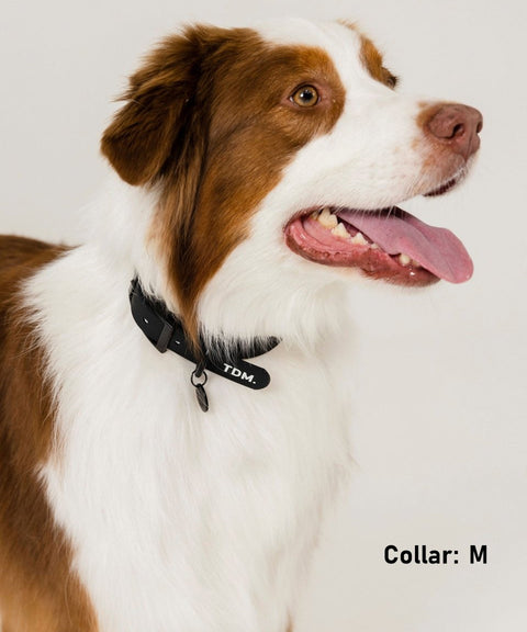 Waterproof Collar: Black - The Dog Mum