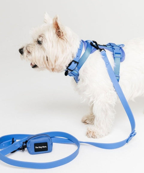 Waterproof Collar: Ibiza Blue - The Dog Mum