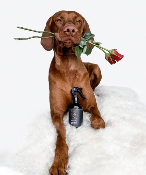 Wild Rose Room Spray - The Dog Mum